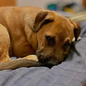 Meet your Posher, Joseph